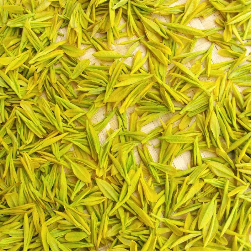 Yellow Tea: The Rare and Niche Tea on the Verge of Disappearance